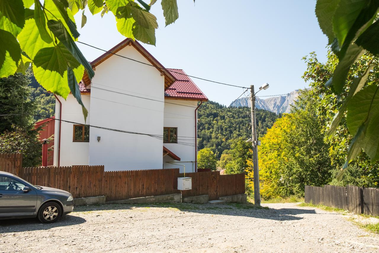 Vila Alma Azuga Exteriör bild