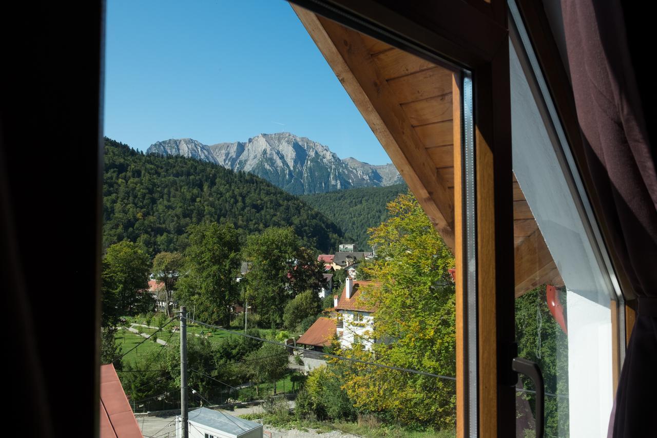 Vila Alma Azuga Exteriör bild
